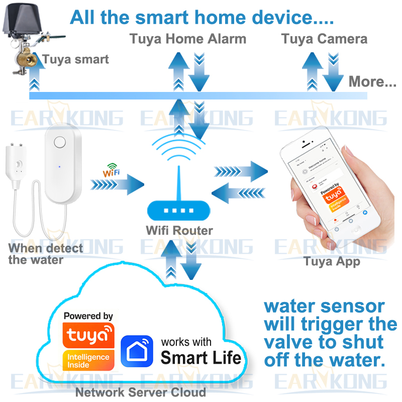 Tuya WiFi Sensor kebocoran air - Water Alarm Sensor ulasan dan harga